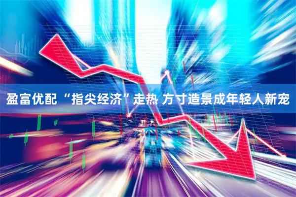 盈富优配 “指尖经济”走热 方寸造景成年轻人新宠